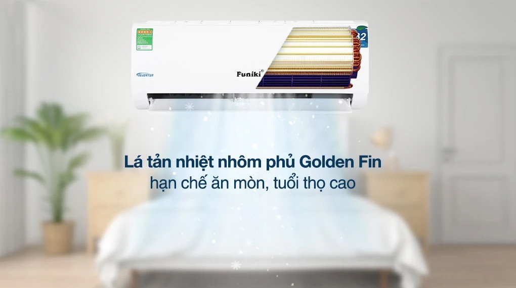 Ảnh 6