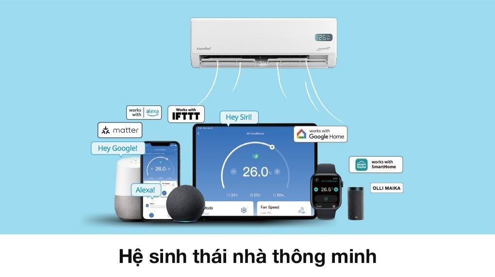 Ảnh 8