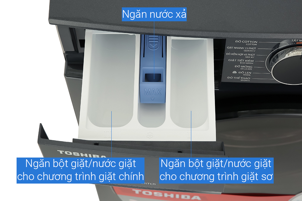 Ảnh 6