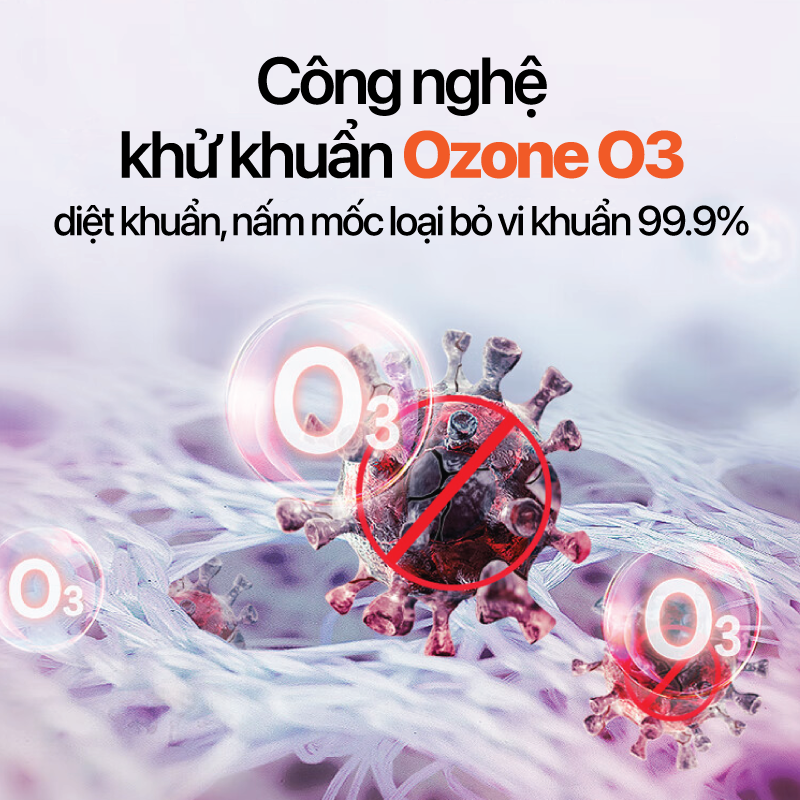Ảnh 7