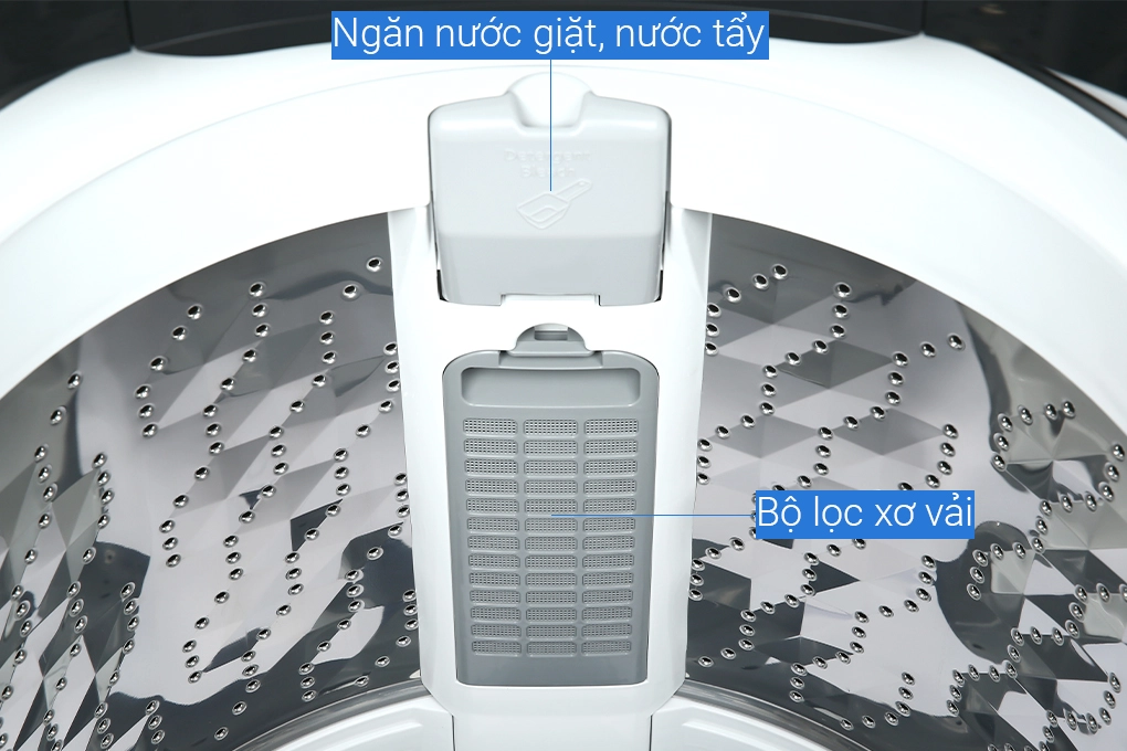 Ảnh 6