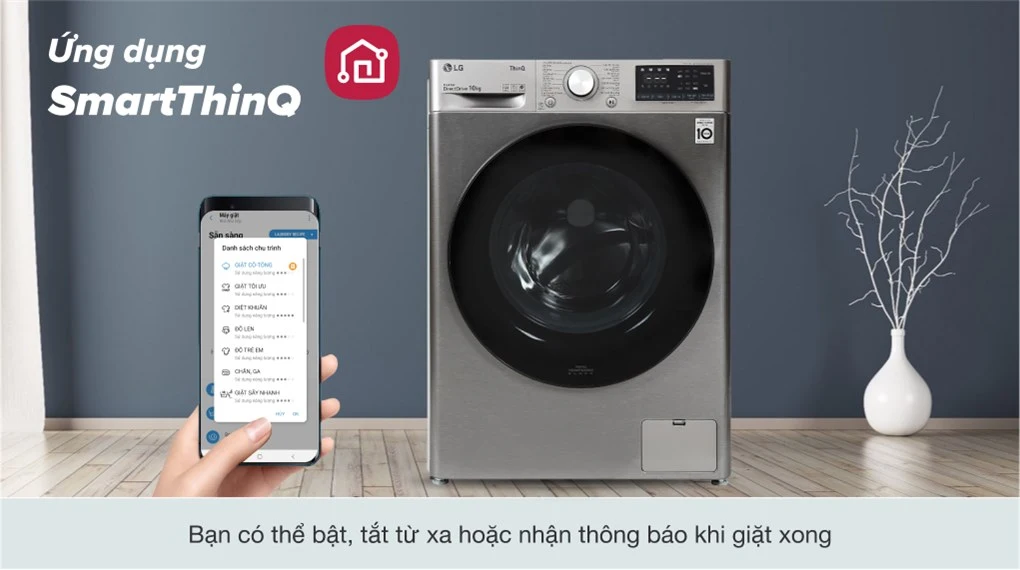 Ảnh 10