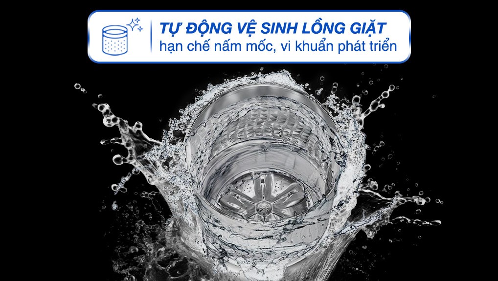 Ảnh 2