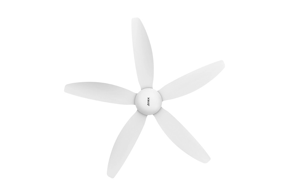Ảnh 3