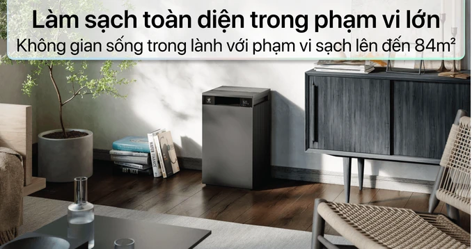 Ảnh 9