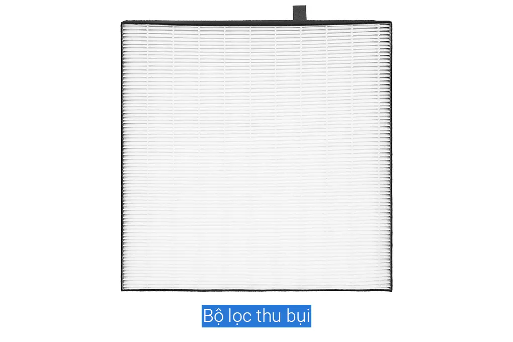 Ảnh 8