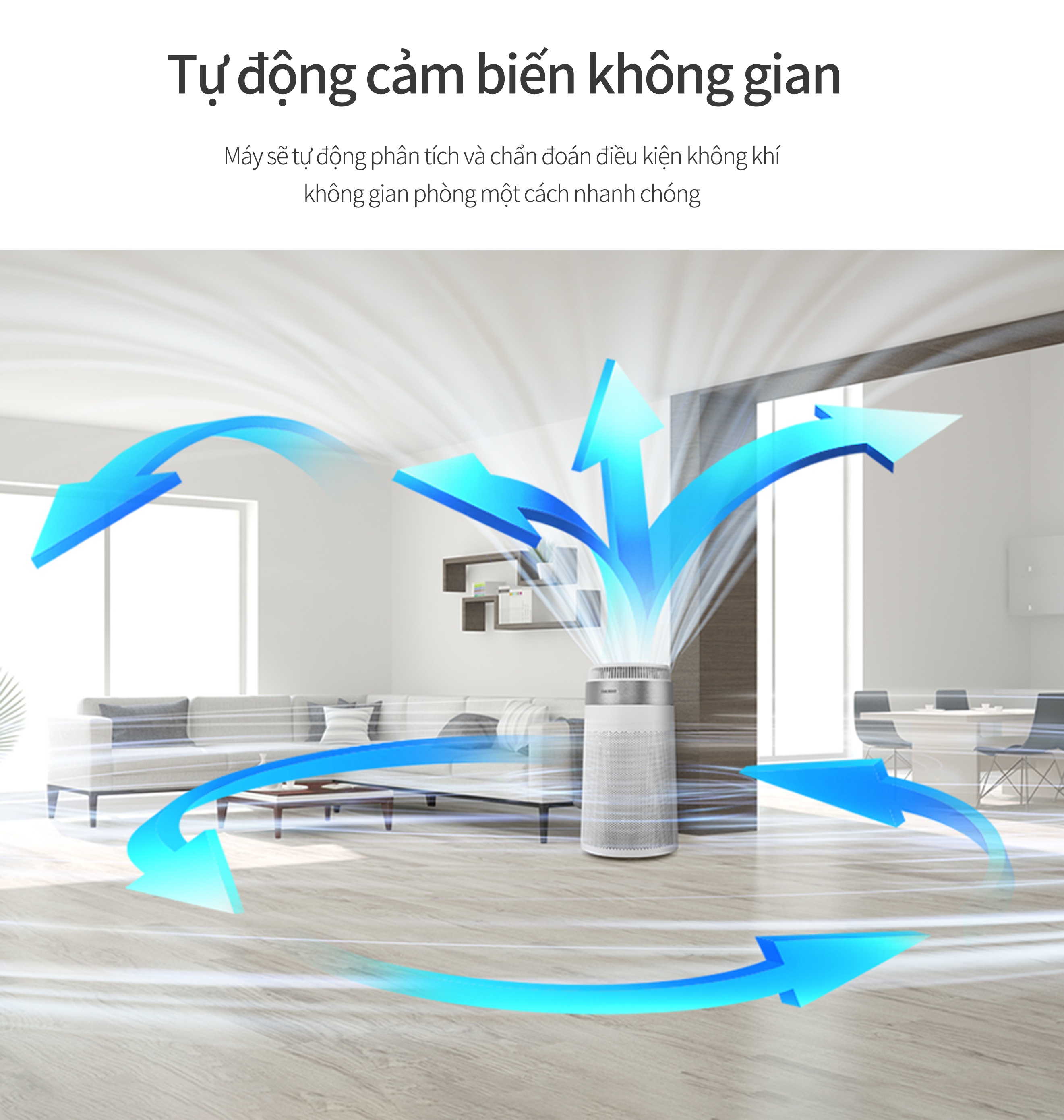 Ảnh 2
