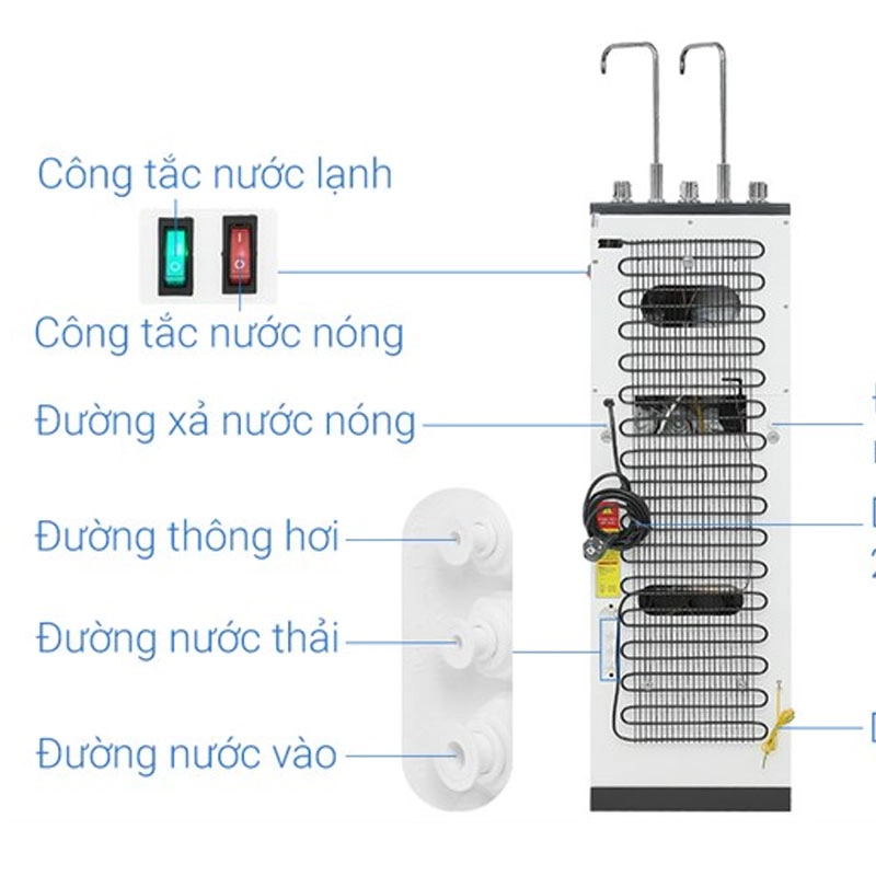 Ảnh 10