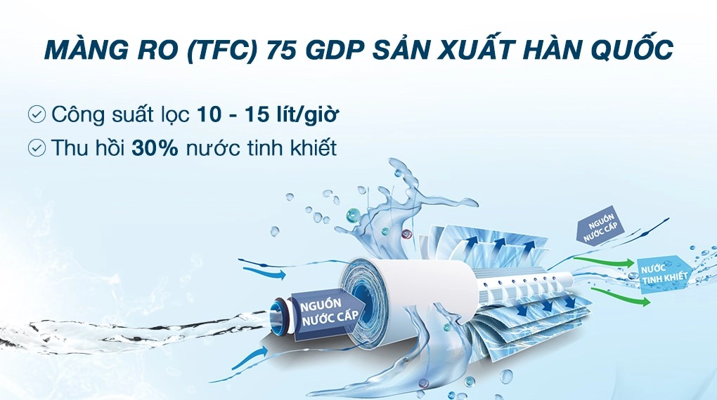 Ảnh 10