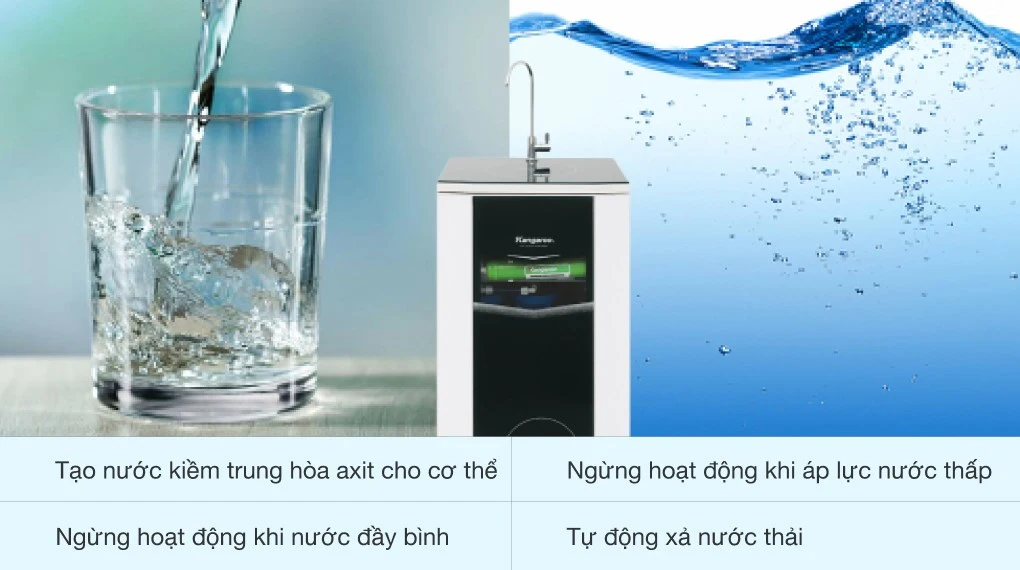 Ảnh 10