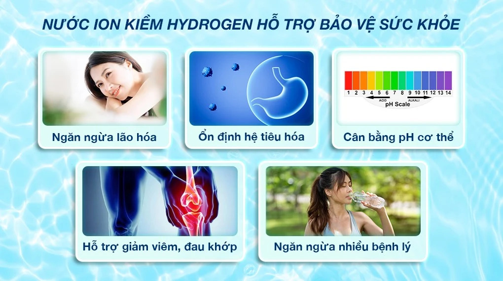 Ảnh 8