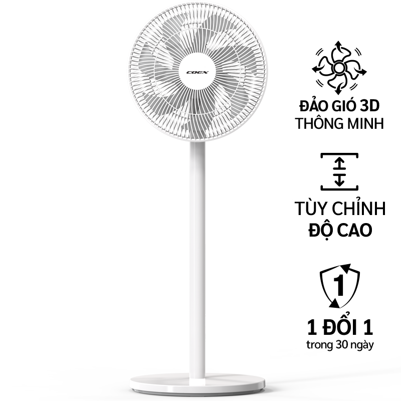 Ảnh 2