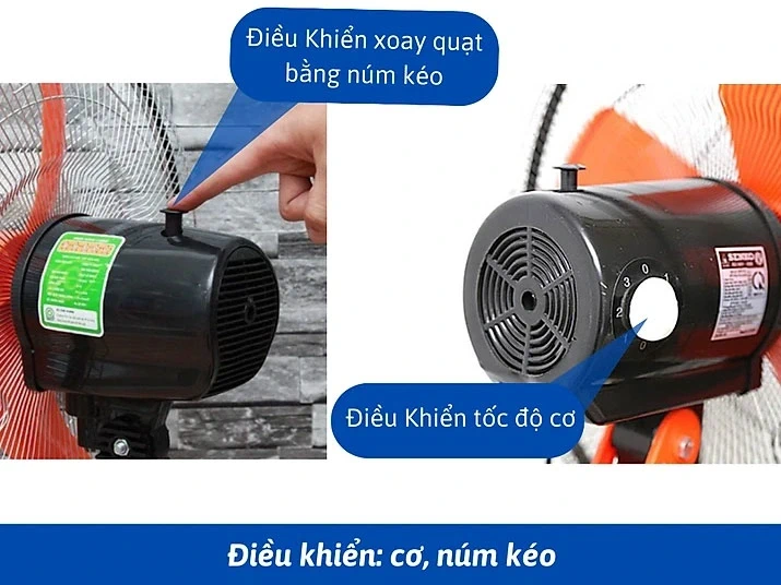 Ảnh 2