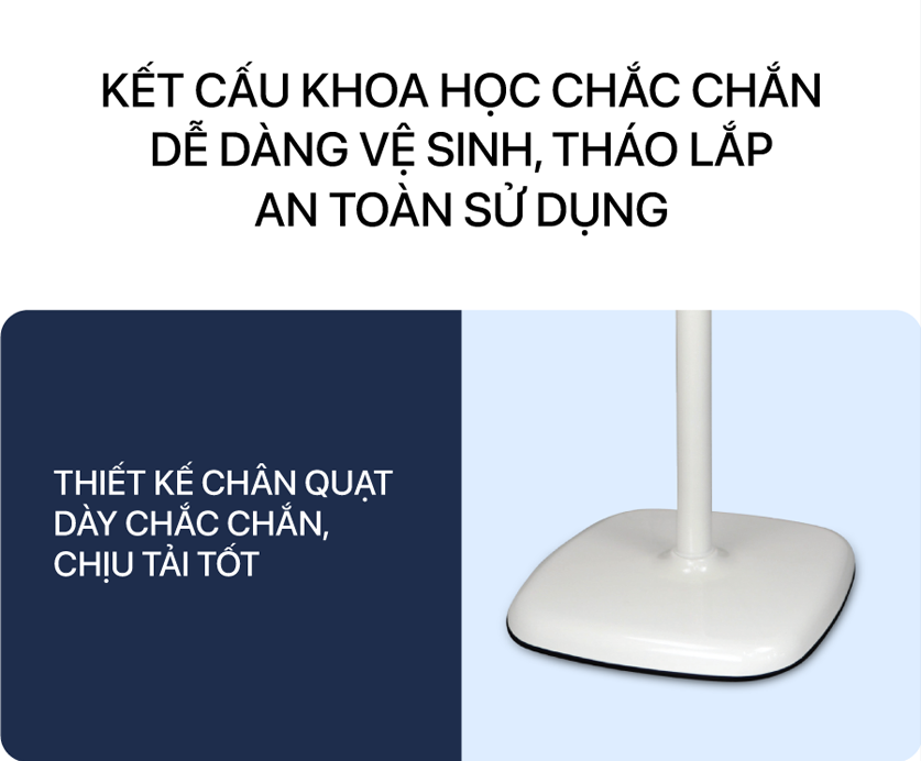 Ảnh 8