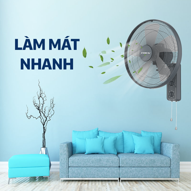 Ảnh 7