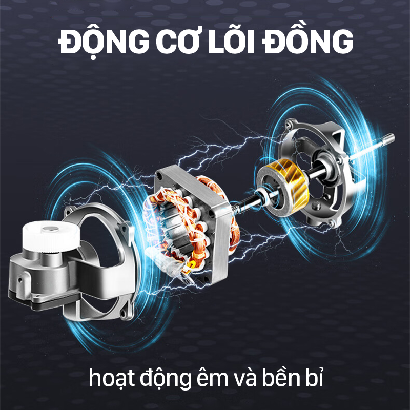 Ảnh 10