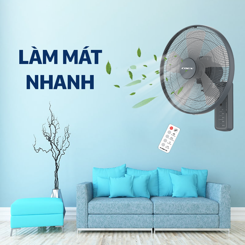 Ảnh 5