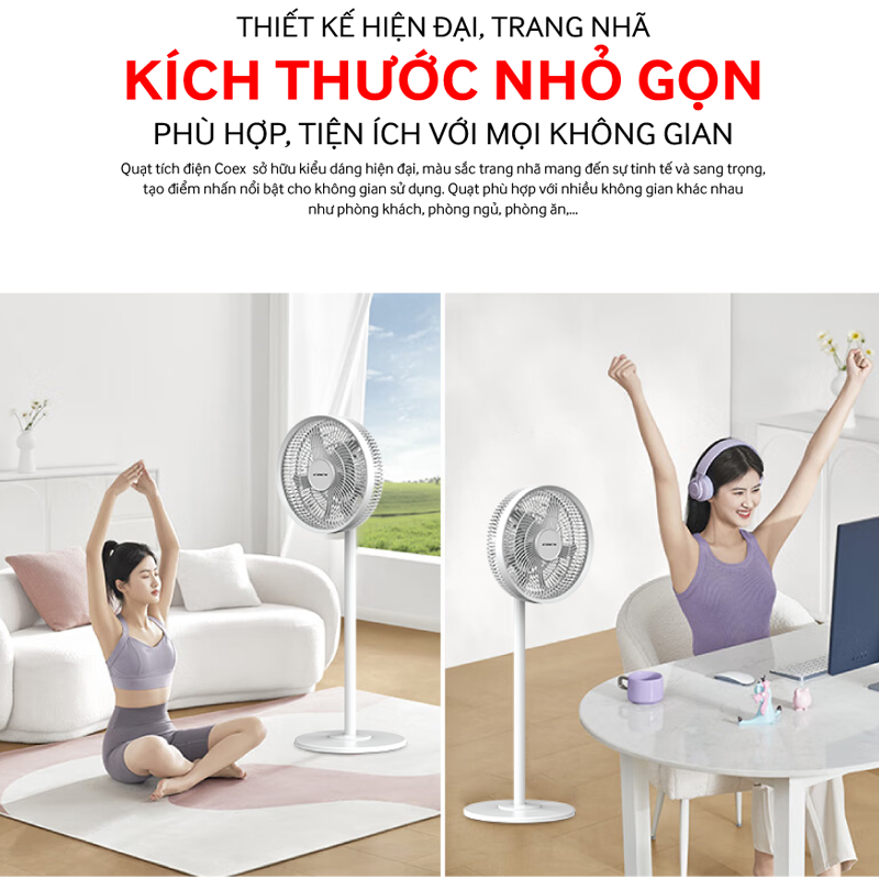 Ảnh 7
