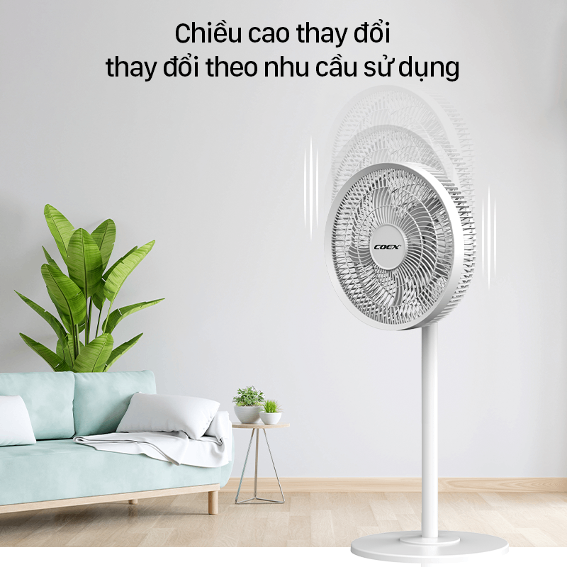 Ảnh 3