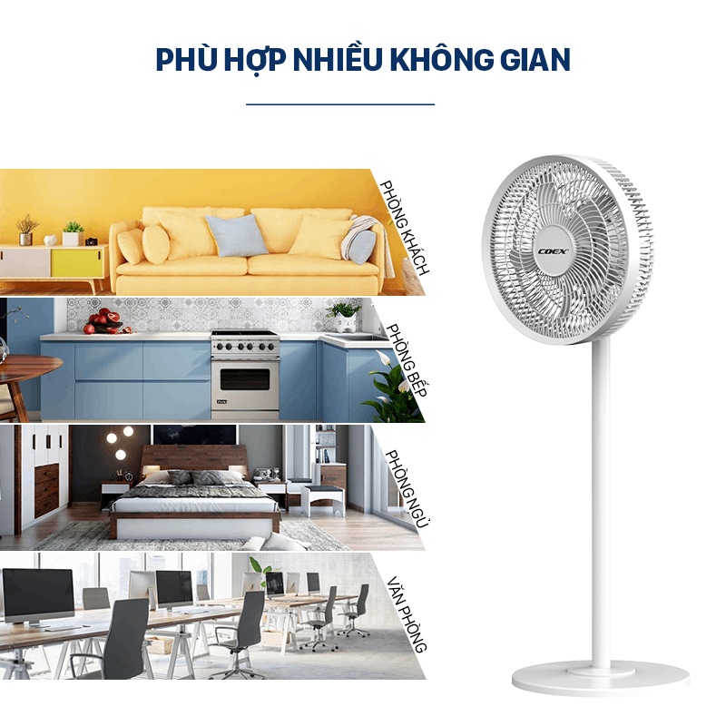 Ảnh 7