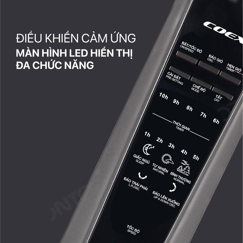 Ảnh 5