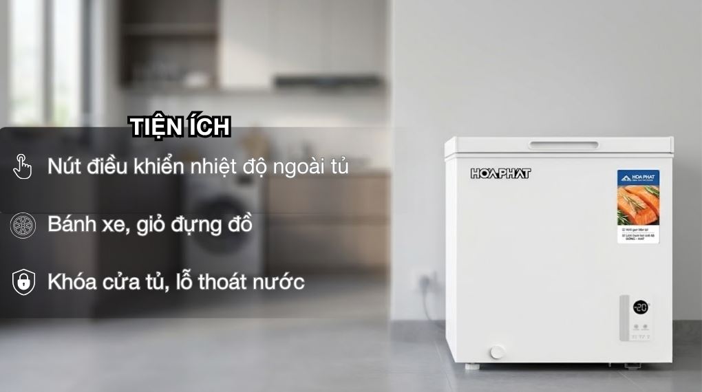 Ảnh 5