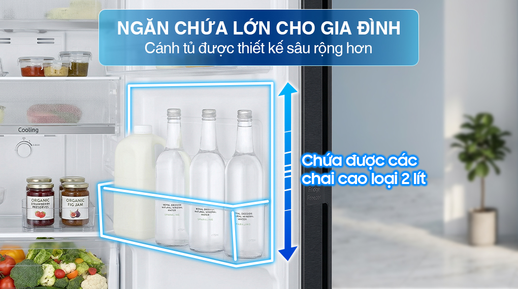 Ảnh 8