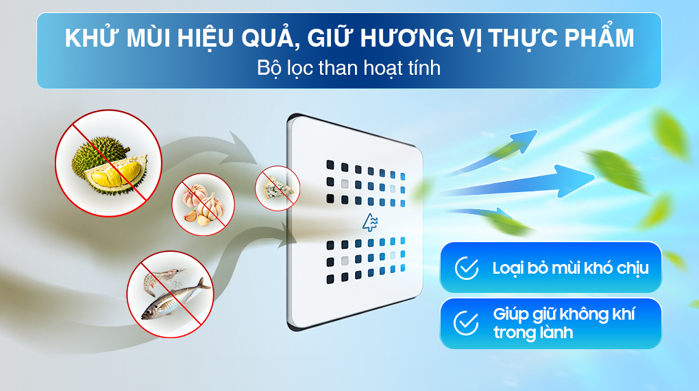 Ảnh 10