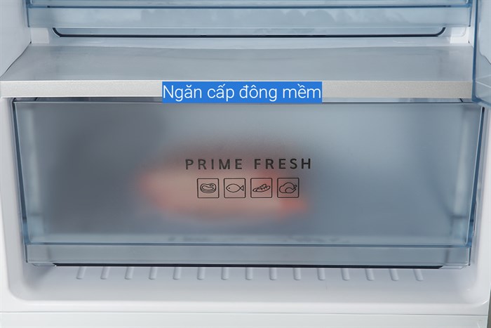 Ảnh 7