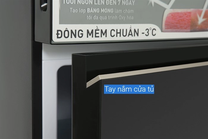 Ảnh 8