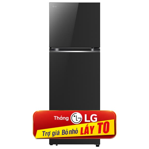 Tủ lạnh LG Inverter 335 lít LTB33BLG
