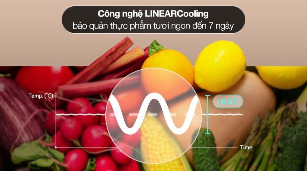 Ảnh 7